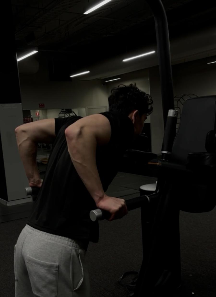 Ryan training dips